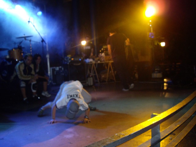 Hernani-Elkartasun eguna 2008 (5).jpg